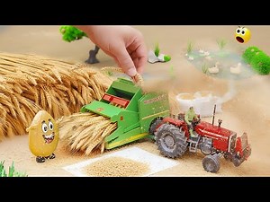 Top Most Creative Scientific Idea | Mini Tractor Threshing Wheat Science Project