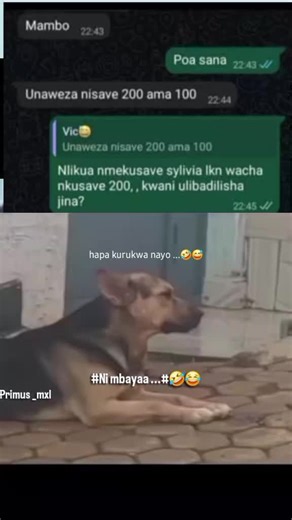 primus ~MXL (@primus_mxl)’s videos with original sound - primus ~MXL