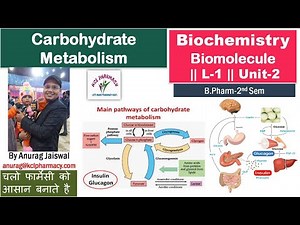 Introduction of Carbohydrate Metabolism || L-1 Unit-2 Biochemistry