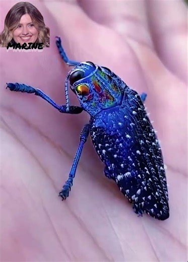 Marine Transformation | Part 8 #shorts