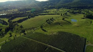 4.9K views · 108 reactions | Welcome to Charlottesville, Virginia. Wine Enthusiast's 2023 Wine Region of the Year. Our wineries are writing a new story in the birthplace of American wine, weaving together historic vines with new roots. See for yourself when you explore Charlottesville and the Monticello Wine Trail. | Visit Charlottesville | Facebook