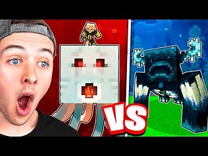 The BEST Minecraft MOB BATTLE! (Animation)