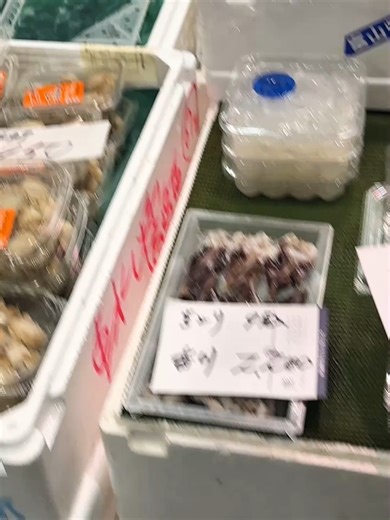 三河のれそれの魅力と味わい
