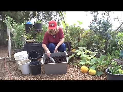 NO COMPOST Piles for ME! DUMP PLANT NOW, Back to Eden Woodchips Garden DIY Greatest Soil to Grow In!