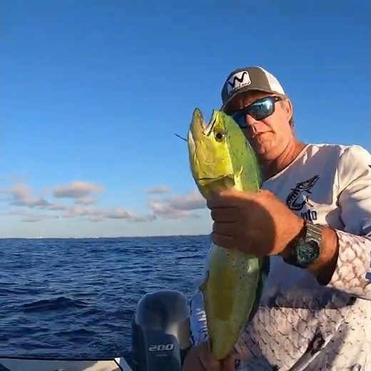 easiest way to catch Mahi Mahi
