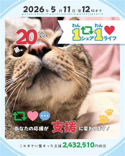 今日はコロッケの日みたいですね😺チャッピーでレシピ風のイラストを生成してみました📖普通に使える感じになってて凄い😳#1シェア1ライフ