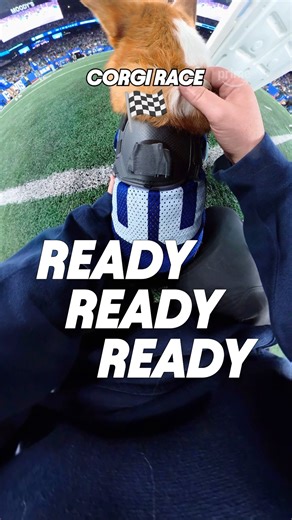 NFL on Prime Video | These corgis turned on the jets 💨😮‍💨 #TNFonPrime | Instagram