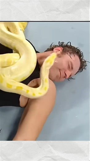 Dean Ambrose Snake Moment 😳 Ye Smile Fake Nahi Thi!