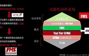 功能性动作筛查（FMS）与舞者运动损伤中的运用---黄少奇 陆军工程大学