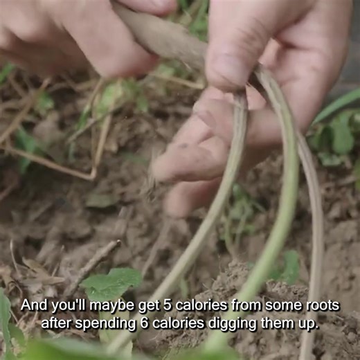 2M views · 28K reactions | ✔️ Many of you have been asking for...