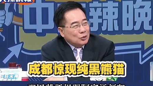 美国以色列空袭伊朗前，中国成都惊现纯黑熊猫，难道预示着川普、纳塔尼亚胡、哈米尼都要黑脸吗？丨郭正亮：我不喜欢黑色熊猫丨蔡正元：我反其道而行之，觉得很可爱。