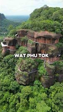 this place is crazy!