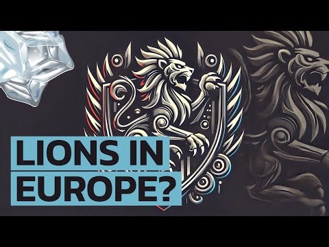 Why are lions to be found in European heraldry? Lion Symbols Middle Age History Advice