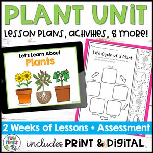 Plant Unit | Basic Needs Parts and Plant Life Cycle