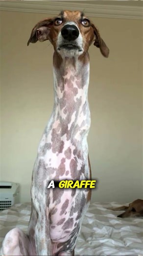 that REALLY suited her