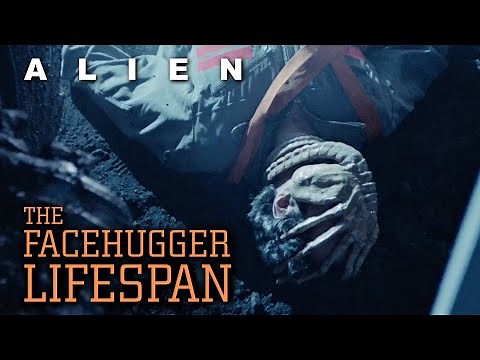 How long can a Facehugger survive outside the Egg? - Alien Biology Explained