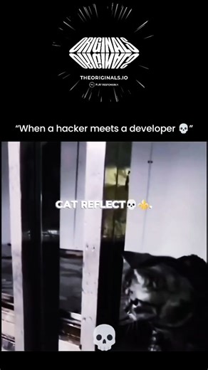 Globe Mosaic on Instagram: "A dramatic and humorous moment unfolds when the caption reads, “When hacker meet developer,” perfectly setting the tone. A man stands confidently near a glass enclosure, unaware—or pretending not to be—of the crocodile lurking just beneath the surface. The scene feels symbolic: the hacker testing limits, probing for weaknesses, while the developer represents structure, boundaries, and controlled danger. The glowing lights, bold signage, and tense positioning turn this