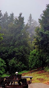 41K views · 916 reactions | I don’t know if much is falling down at the coast, but up here above Ben Lomond, we’re at almost a 1/4”. I expected some drizzle, but this is definitely rain | Native Santa Cruz | Facebook