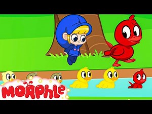6 Little Ducks | Fun Animal Cartoons | @MorphleTV | Learning for Kids