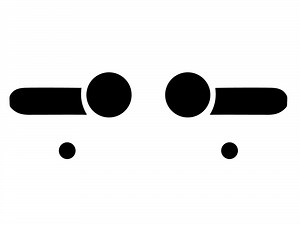 Rtint™ Toyota FJ Cruiser 2007-2014 Headlight Tint | Film