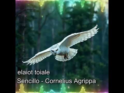 Cornelius Agrippa