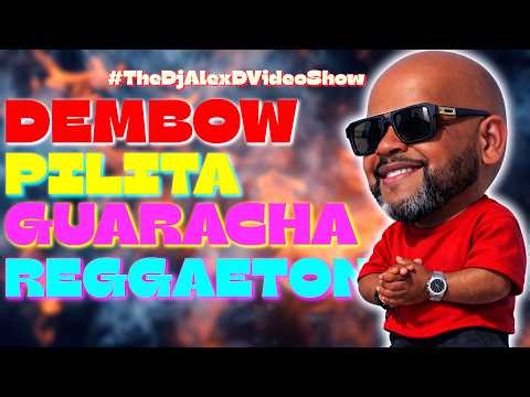 PARTY MIX VOL 3 | YAILIN, BULIN 47, EL ALFA, CHIMBALA, OMEGA, PITBULL, DADDY YANKEE, WISIN & YANDEL