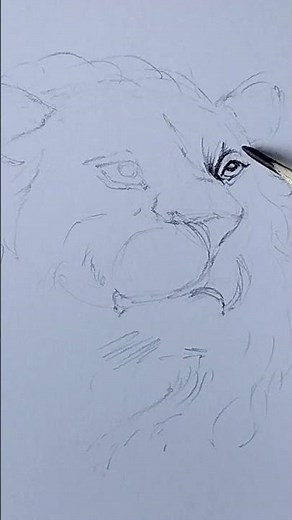 How to Draw a Lion easy | Lion's Head