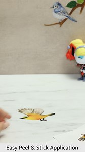 Watch Product Overview Video on Amazon Live