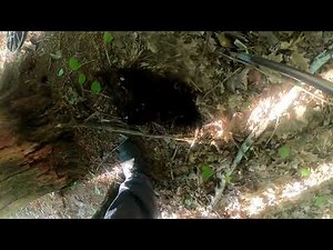 Unexpected Metal Detecting Woods Hunt Upstate NY New York Found Silver and Some Old