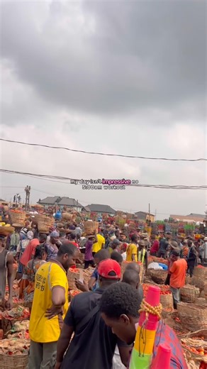 What my normal day taught me about DISCIPLINE #youtubeshort #shortsfeed #youtubesecrets