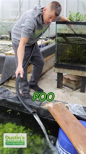 IT'S ALL ABOUT THE POO!