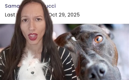 11 Common Mistakes That Hurt Your Dog's Feelings Without You Even Realizing