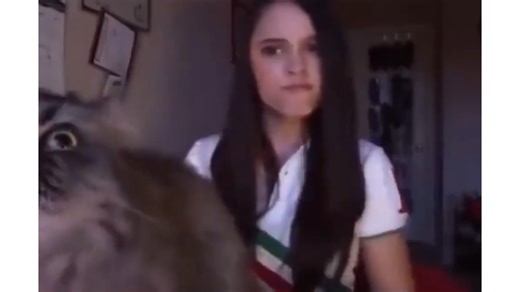 A woman records herself singing then her cat jumps in to steal the performance