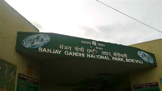 Mumbai News: BMC Issues Draft Zonal Master Plan For Sanjay Gandhi National Park Eco-Sensitive Zone; Here Is How You Can File Objections & Suggestions