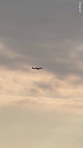 Fatal Christmas crash plane's terrible nose dive and rise mid air before crashing