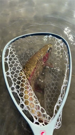 Catching My First Fly Fish: Jeff's Story