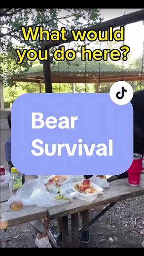 Bear Survival Techniques: Expert Tips for Dealing with Bears