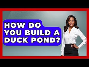 How Do You Build A Duck Pond? - The World of Agriculture