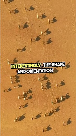 Secrets of Desert Sand Dune Migration 🌵🌍