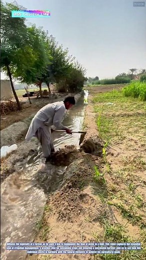 Harnessing Nature: A Farmer's Effort to Redirect Water Flow