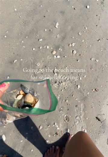 Who else loves sea shell hunting?🐚🌴 #florida #seashells #beach #ocean #traveltiktok