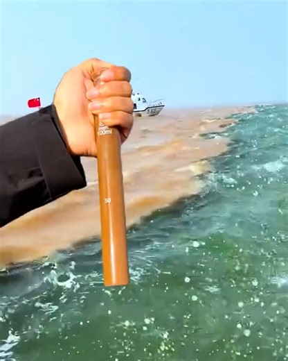 Satisfaction in motion! | Handy Dandy