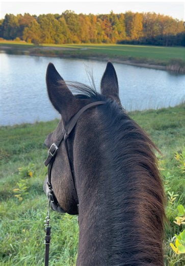 Fall Trail Riding Adventures with Denny