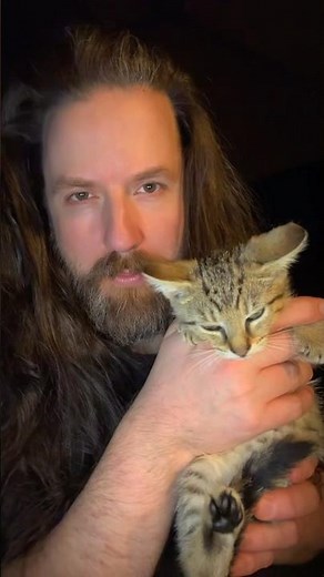 My 24K Gold Kitty Outshines Labubu! 😻