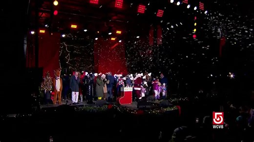Holiday Lights 2025: The official Boston Christmas tree is lit!