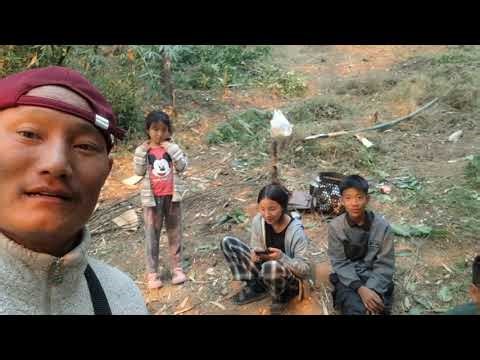 Fellowship youths farming of shifting cultivation