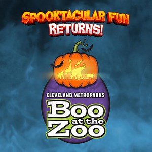 9.6K views · 87 reactions | TONIGHT kicks off the return of Boo at the Zoo! Get ready for spooktacular fun as you stroll through the Zoo’s decorated paths, enjoy Halloween-themed experiences, trick-or-treat at over a dozen candy stations and more! Experience Boo at the Zoo Thursdays-Sundays through Oct. 26. Get your tickets today! https://buff.ly/RZ66ozs | Cleveland Metroparks Zoo | Facebook