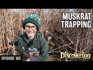 DISCOVERING | Muskrat Trapping with Kids