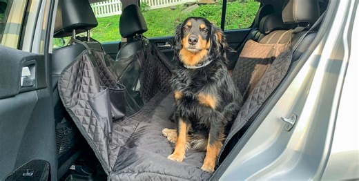 These Dog-Friendly Car Seat Covers Protect Your Car from Fur, Mud, and Overexcited Pups