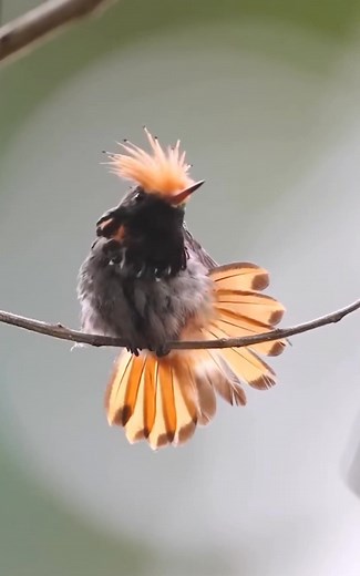 1.8M views · 63K reactions | 列 Moments of Wild Life In the heart of...